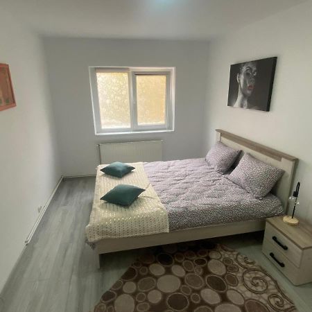 Apartment Dabic Remote And Fun Braşov Buitenkant foto