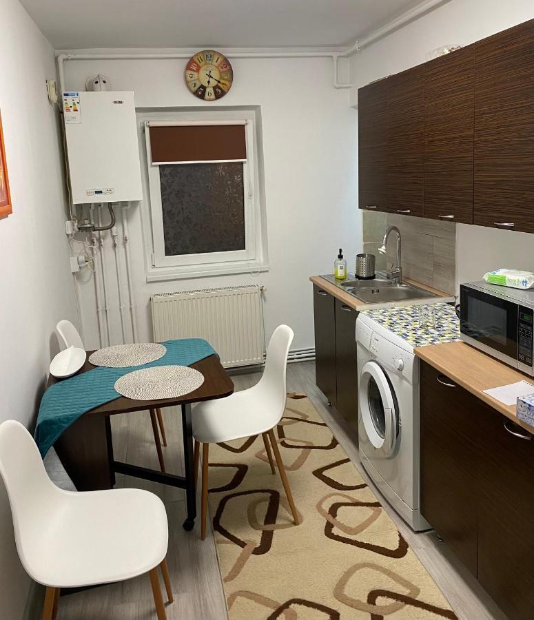 Apartment Dabic Remote And Fun Braşov Buitenkant foto