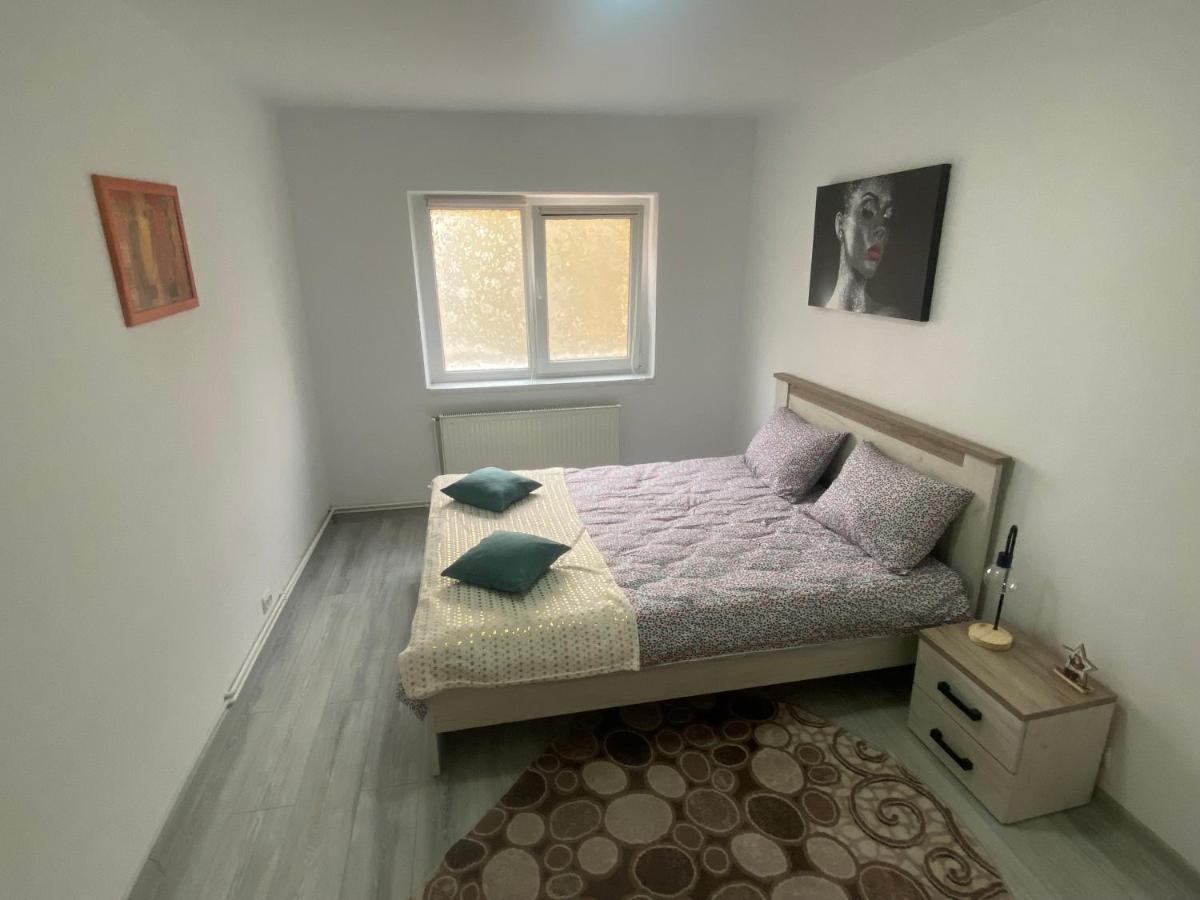 Apartment Dabic Remote And Fun Braşov Buitenkant foto