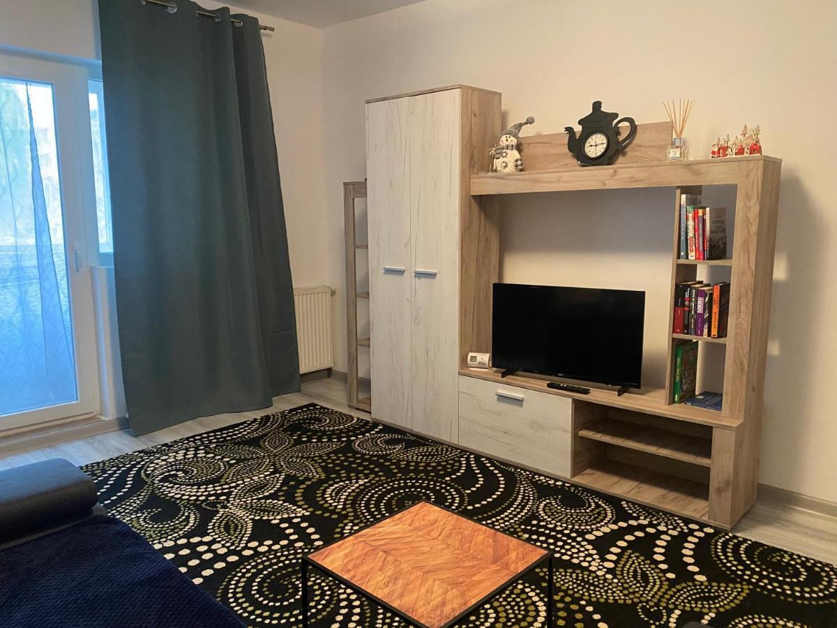 Apartment Dabic Remote And Fun Braşov Buitenkant foto